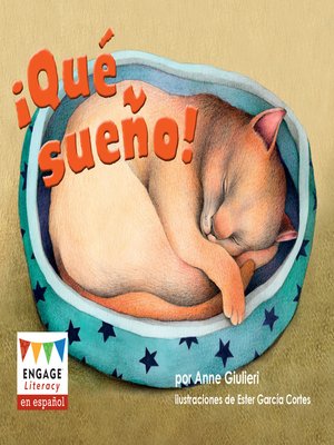 cover image of ¡Qué sueño!